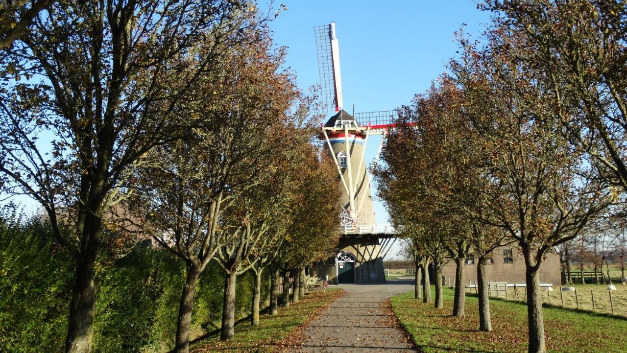 Vakantiehuis Buitengewoon Wissenkerke Exterior photo